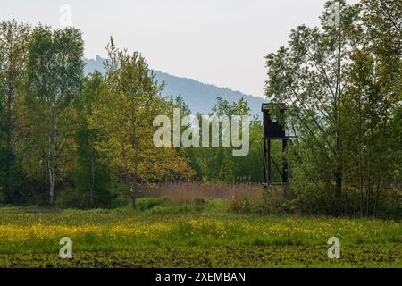 Jagdturm. Jagdturm für Wildschweine und andere Wildtiere auf einem Feld im Wald. Stockfoto