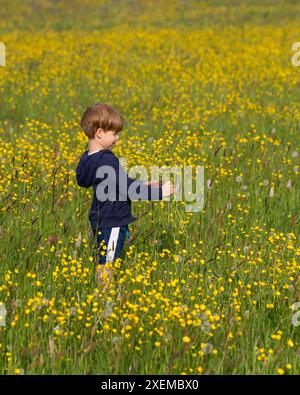 Süßes Kind, Junge, der auf einem Feld mit wilden gelben Blumen spielt, frische Luft genießt, aktiven Lebensstil Stockfoto