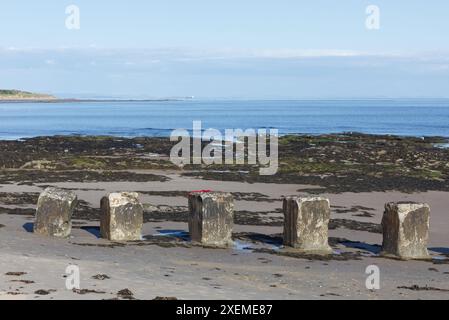 Betonpfoller aus dem Zweiten Weltkrieg in West Beach von Lossiemouth, Moray, Schottland Stockfoto