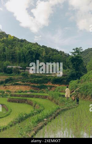 Junge Frau macht einen friedlichen Spaziergang in der vietnamesischen Landschaft mit ihren Hunden; Ngoc Chien, Muong La District, Son La, Vietnam Stockfoto
