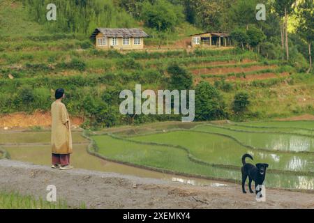 Junge Frau macht einen friedlichen Spaziergang durch die vietnamesische Landschaft mit ihrem Hund; Ngoc Chien, Muong La District, Son La, Vietnam Stockfoto