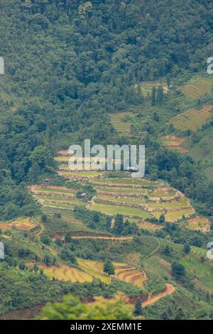 Reisfelder von Toraja in Süd-Sulawesi, Indonesien; Rante Pao, Süd-Sulawesi, Indonesien Stockfoto
