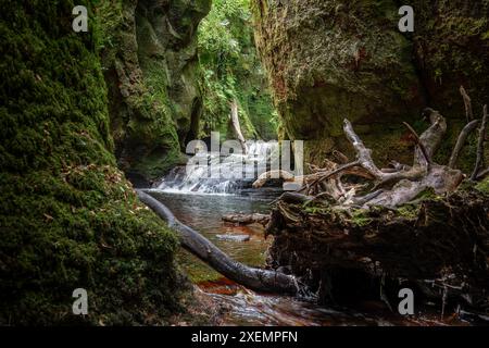 Die Teufelskulpe ist eine wunderschöne Schlucht in der schottischen Landschaft in der Nähe von Loch Lomond und dem Trossachs-Nationalpark. Ein ehemaliger Drehort für den Stockfoto