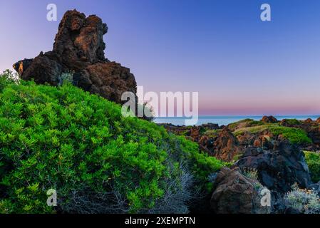 Nahaufnahme grüner Sträucher und vulkanischer Felsformationen entlang der Mittelmeerküste im Nationalpark Pantelleria Island in der Dämmerung Stockfoto