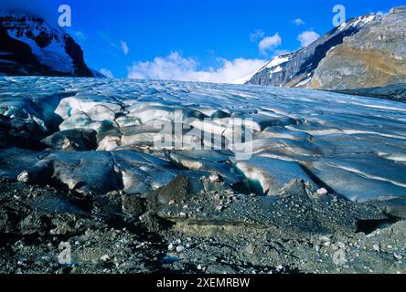 Oberflächennahe Nahaufnahme der Zehenspitzen des Athabasca-Gletschers im Columbia Icefield des Banff National Park; Alberta, Kanada Stockfoto