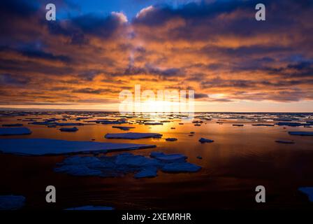 Sonnenuntergang über Packeis in der Antarktis, mit dem hellen goldenen Sonnenlicht, das die Wolken, den Horizont beleuchtet und sich auf dem ruhigen Wasser der Antarktis reflektiert Stockfoto