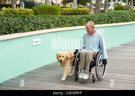 Mann im Rollstuhl, der mit seinem Begleithund im Freien läuft; Boynton Beach, Florida, Vereinigte Staaten von Amerika Stockfoto