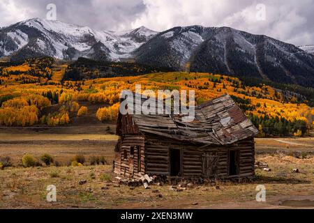 Aspen-Bäume färben sich im Herbst in Colorado in der Farbe einer Künstlerpalette. Die Farbe reicht so weit, wie das Auge sehen kann, in einer der schönsten Naturschönheiten... Stockfoto