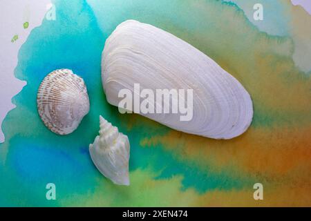 Drei verschiedene Muscheln auf Aquarell gebeiztem Hintergrund mit Farbtönen des Meeres und des Sandes Stockfoto