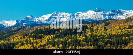 Panorama von farbenfrohen Baumhügeln mit schneebedeckten Bergen und blauem Himmel im Hintergrund, westlich von Calgary, Alberta, Kanada Stockfoto