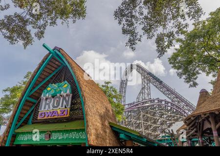 Eisen-Gwazi-Achterbahn im Busch Gardens Tampa Bay, Florida, eine hoch aufragende Hybrid-Thrill-Fahrt mit steilen Abfahrten und Inversionen. Stockfoto