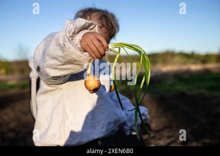 Ein kleines Kind hält eine frisch geerntete Zwiebel mit grünen Stielen in einem Garten. Stockfoto