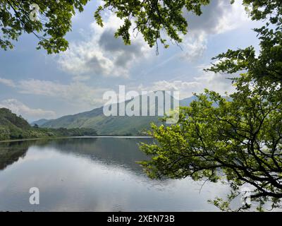 Der wunderschöne See ist die Aussicht von Kylemore Abbey. Stockfoto