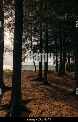 Sonnenuntergang am Mai Khao Strand in Nord Phuket; Mai Khao, Phuket, Thailand Stockfoto
