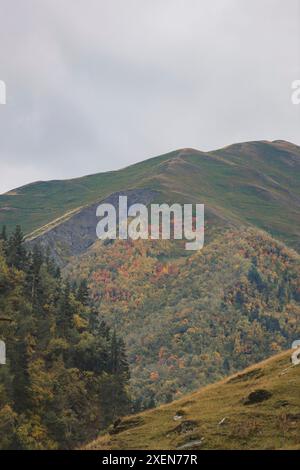 Malerischer Blick über die bewaldeten Berggipfel unter grauem, bewölktem Himmel im Tusheti-Nationalpark in der Kakheti-Region im Herbst; Georgien Stockfoto