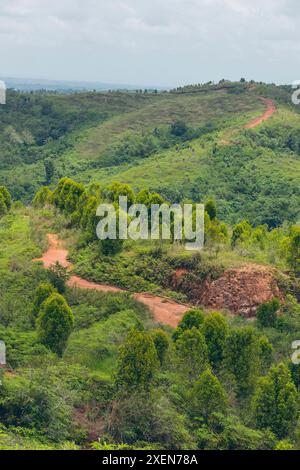 Die Schotterstraße schlängelt sich durch die üppige hügelige Landschaft in West Sumba Regency, Indonesien; Sumba, kleine Sunda Inseln, Indonesien Stockfoto