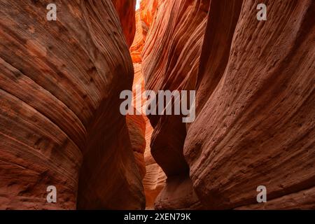 Nahaufnahme der engen Passagen in den roten Sandsteinklippen am Little Wild Horse Canyon Stockfoto