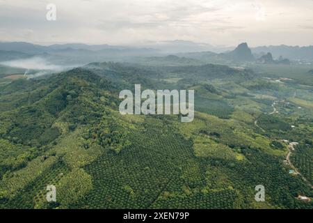 Überblick über üppige, hügelige Farmland in der Nähe der Tad Gneuang Wasserfälle in der Provinz Champasak im Südwesten von Laos; Laos Stockfoto