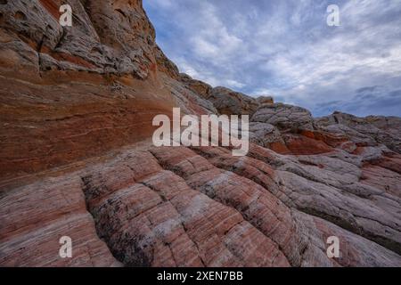 Unglaubliche Felsformationen in White Pocket, bestehend aus wirbelnden, mehrfarbigen Navajo-Kalksteinen mit Kuppeln, Hoodoos und Schlaglöchern Stockfoto