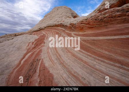 Unglaubliche Felsformationen in White Pocket, bestehend aus wirbelnden, mehrfarbigen Navajo-Kalksteinen mit Kuppeln, Hoodoos und Schlaglöchern Stockfoto