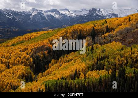 Malerische aussicht auf herbstfarbenen Wald an den Hängen vor schneebedeckten Berggipfeln unter einem grauen, bewölkten Himmel in der Ferne Stockfoto