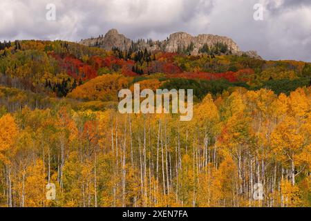 Malerische Aussicht auf Berggipfel unter grauen Wolken auf dem Kamm eines Berghandwaldes mit goldenen Espenbäumen und lebhaften Herbstfarben, die einen... Stockfoto