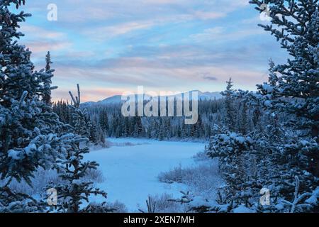 Der Blick auf die Winterlandschaft entlang der Annie Lake Road in der Dämmerung bietet wunderschöne Fahrten, während der Sonnenaufgang den Himmel färbt; Whitehorse, Yukon, Kanada Stockfoto