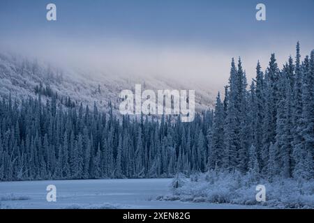 Der Winter beginnt im Yukon, während die Berge und Bäume rund um den Annie Lake in erhabenem Schnee und Licht lebendig werden; Whitehorse, Yukon, Kanada Stockfoto