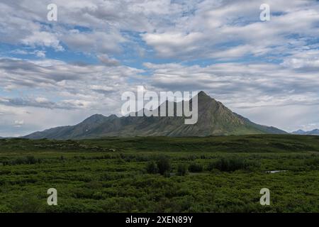 Riesige und wunderschöne Landschaft im Tombstone Territorial Park, mit üppiger Vegetation und Berggipfeln unter bewölktem Himmel entlang des Dempster Highway Stockfoto