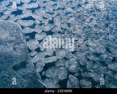 Pfannkucheneis, Prozess der Meereisbildung. Küste von Colesbukta Teil des Isfjordens im Winter auf der Insel Spitzbergen im Svalbard Archipel Stockfoto