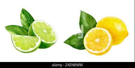 Bunte Illustration von frischen Zitronen- und Limettenfrüchten, lebhafte Farben, auf weißem Hintergrund Stockfoto