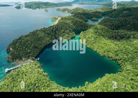 Üppige Vegetation und ruhiges Meer im Kepulauan Togean National Park; Wakai, Central Sulawesi, Indonesien Stockfoto