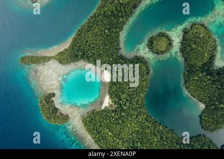 Aus der Vogelperspektive auf eine aquamarine Lagune und üppige Vegetation im Kepulauan Togean National Park; Wakai, Central Sulawesi, Indonesien Stockfoto