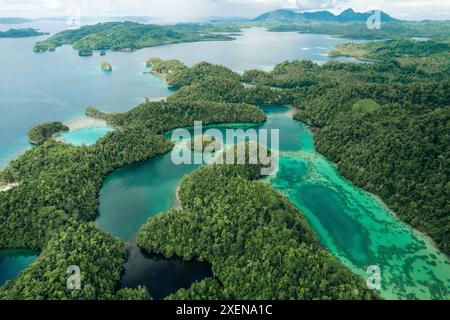 Üppige Vegetation und türkisfarbenes Meer im Kepulauan Togean National Park; Wakai, Central Sulawesi, Indonesien Stockfoto