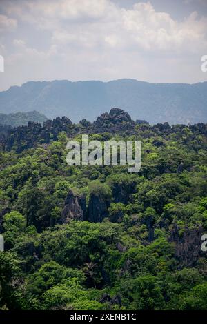 Kalksteinwald in der Nähe des Felsenaussichtspunkts in Laos; Provinz Khammouane, Laos Stockfoto