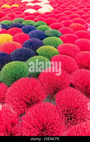 Räucherstäbchen in leuchtenden Farben in Räucherdorf, Hanoi, Vietnam; Räucherstäbchen in Huang Phu Tau, Uni Hoa, Hanoi, Vietnam Stockfoto