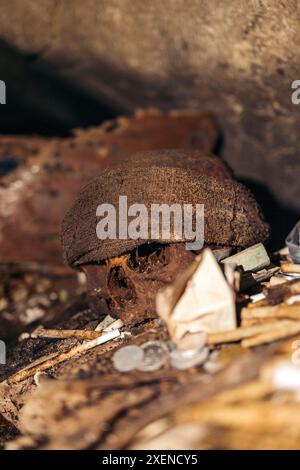 Schädel auf dem alten Friedhof von Londa in Sulawesi Selatan, Indonesien; Kecamatan Kesu, Kabupaten Toraja Utara, Sulawesi Selatan, Indonesien Stockfoto