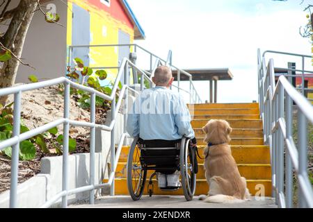 Querschnittsgelähmter Mann in einem manuellen Rollstuhl am Fuß der Treppe mit seinem Diensthund draußen in einem Erholungsbereich, beide auf die Stufen und die ... Stockfoto