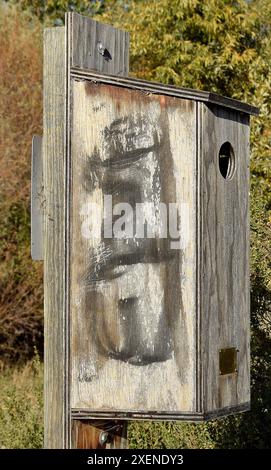 Das Wood Enck House wurde von einem Kind gebaut, um Vögel zu helfen. Das Schild in der Quarry Lakes Regional Recreation Area und East Bay Hills, Fremont, Kalifornien Stockfoto