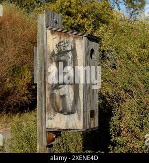 Das Wood Enck House wurde von einem Kind gebaut, um Vögel zu helfen. Das Schild in der Quarry Lakes Regional Recreation Area und East Bay Hills, Fremont, Kalifornien Stockfoto