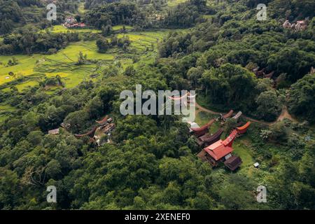 Aus der Vogelperspektive auf Bäume und Tongkonan, traditionelle Häuser der Torojaner in Nord-Toraja, Indonesien Stockfoto