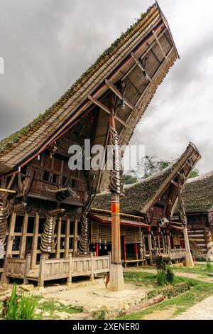 Tongkonan im alten Dorf Ke'te Kesu', alte Häuser der Ahnen, Nord-Toraja, Indonesien Stockfoto