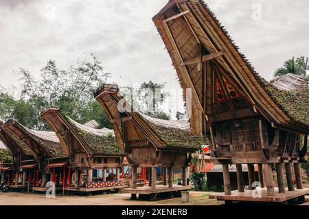 Tongkonan im alten Dorf Ke'te Kesu', alte Häuser der Ahnen, Nord-Toraja, Indonesien Stockfoto