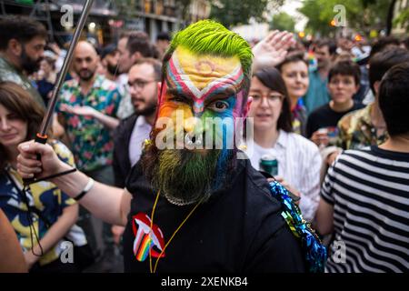 Madrid, Spanien. Juni 2024. Während der Critical Pride Demonstration, die in diesem Jahr durch die Straßen Madrids führte, hat ein Teilnehmer die LGTBIQ-Flagge auf das Gesicht gemalt. Verschiedene Gruppen, aus denen die Madrid Critical Pride Platform besteht, organisierten eine alternative Demonstration gegen die offiziellen World Pride Events und versuchten, die Rechte des LGTBIQ Kollektivs zu verteidigen. Quelle: SOPA Images Limited/Alamy Live News Stockfoto