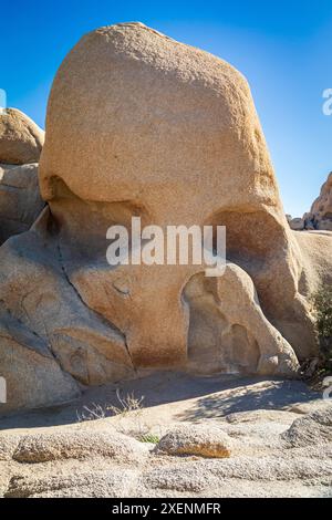 Kalifornien, USA. Skull Rock im Joshua Tree National Park. Stockfoto