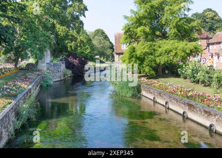 Ein Blick auf den Great Stour in Westgate Gardens, Canterbury, Kent. Stockfoto