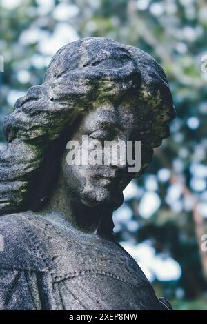 Wächterwinkel, der über die Gräber auf einem Friedhof wacht Stockfoto