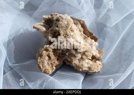 Alte alte versteinerte Holz, Ausgrabung, Mineralien, als schöner Hintergrund Nahaufnahme Vorderansicht schmale Fokuslinie, geringe Tiefenschärfe Makro Stockfoto