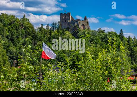 Restaurierte Ruinen der Burg in Czorsztyn am See, Touristenattraktion, Instagram-Platz in Polen Stockfoto