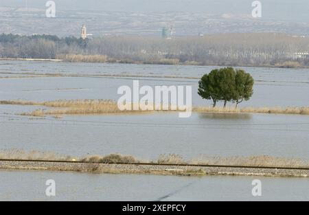 Fluss Ebro Überschwemmungen. Februar 2003. Pina de Ebro, Zaragoza Provinz. Spanien Stockfoto